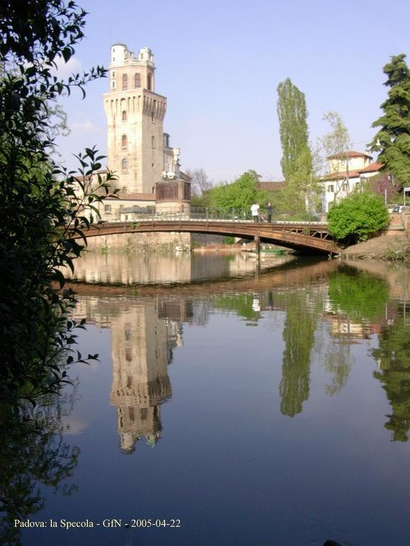 Junior 2* Padua